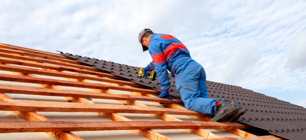 Best Roof Moss and Algae Removal  in Kremmling, CO